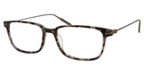 Modo Eyeglasses KINGSLAND Grey Tortoise/GRTRT