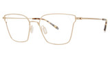 Paradigm Eyeglasses 20-02 Gold/YG