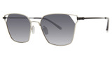 Paradigm Eyeglasses 20-50 Silver/SI