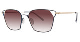 Paradigm Eyeglasses 20-50 Midnight/MI