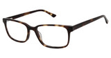 Aristar Eyeglasses AR 18655 Tortoise/545