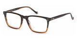 Hackett London Eyeglasses HEB 253 Dark Horn Gradient/101