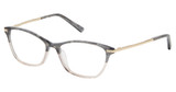 Ted Baker Eyeglasses TFW007 grey blush/GRY