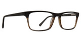 Life is Good Anthony Honey Tortoise/HTO