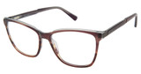 Nicole Miller Eyeglasses Eden Roc SMOKE GRADIENT/C01