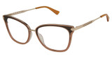 Nicole Miller Eyeglasses Nice BROWN GRADIENT/C01