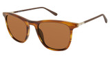 Champion CUGRAZE BROWN HORN/C02
