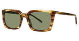 Paradigm Eyeglasses 20-62 Horn/HN