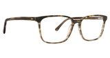 Argyleculture Perry TORTOISE/TOR