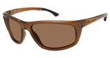 Champion Eyeglasses FIX TRANS DK BROWN/C03