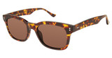 Denon Eyewear Eyeglasses FREDDIE Vinatge Havana, Dark Brown /15