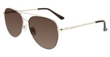 Calvin Klein Collection Eyeglasses CK20119S (717) GOLD/717