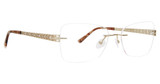 Jenny Lynn Eyewear Eyeglasses Dynamic Gold/GOLD