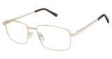 New Globe Eyeglasses M595-P Gold/GOLD