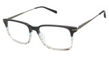 Ted Baker Eyeglasses TM011 grey/GRY