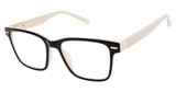 Ted Baker Eyeglasses TW014 black bone/BLK