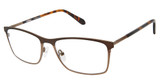Cremieux Eyeglasses Germain Brown/BROWN