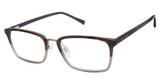 Ted Baker Eyeglasses TMUF004 tortoise/TOR