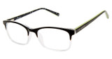 Ted Baker Eyeglasses B991 black/BLK