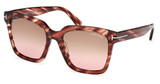 Tom Ford Eyeglasses FT0952 red havana / gradient brown/54F
