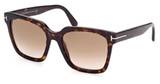 Tom Ford Eyeglasses FT0952 dark havana / gradient brown/52F