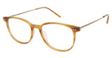 TLG Eyeglasses NU057 BWN STR / BROWN/C03