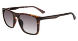Police Eyeglasses SPLF17 Tortoise 0978
