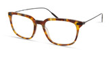 Modo Eyeglasses SEIGEL Brown Tortoise/BWNTT