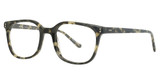 Cinzia CIN-5141 Sand Tortoise/1