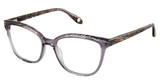 FYSH Eyeglasses FYSH 3704 GREY BUTTERSCOTCH/S403