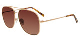 DIFF Eyeglasses BROOKLYN Brushed Gold BGOL
