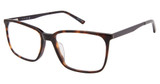 TLG Eyeglasses NU074 TORTOISE/C02