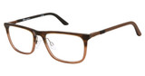 Champion Eyeglasses CFIT 300 BROWN GRADIENT/C02