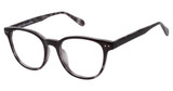 New Globe Eyeglasses M451 Black Tort/BLACK TORT