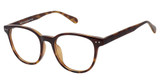New Globe Eyeglasses M451 Tortoise/TORTOISE