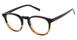 Isaac Mizrahi New York Eyeglasses IM 36014 Brown/BR