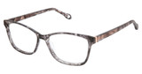 FYSH Eyeglasses FYSH 3767 BLACK FEATHER/S400