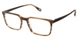 Evatik Eyeglasses EVATIK 9299 MOCHA HORN/S402