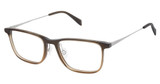 Cruz Eyeglasses Ventura Ave Umber/UMBER
