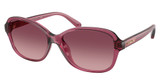 COACH HC8432U CAE95 TRANSPARENT BERRY/58928D