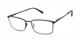 Ted Baker Eyeglasses TM525 brown/BRN