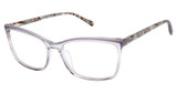 Ted Baker Eyeglasses TWXL001 grey/GRY