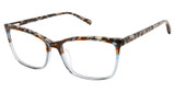 Ted Baker Eyeglasses TWXL001 tortoise/TOR