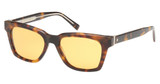 Abercrombie & Fitch Eyeglasses AF00035 dark havana / brown/52E