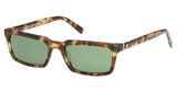 Abercrombie & Fitch Eyeglasses AF00039 coloured havana / green/55N