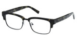Abercrombie & Fitch Eyeglasses AF50046 coloured havana/055