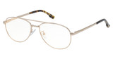 Hollister Eyeglasses HL50018 pink gold/033