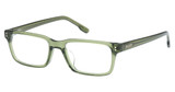 Hollister Eyeglasses HL50033 shiny dark green/096