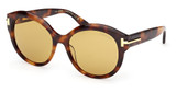 Tom Ford Eyeglasses FT1251 blonde havana / brown/53E