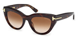 Tom Ford FT1252 dark havana / gradient brown/52F